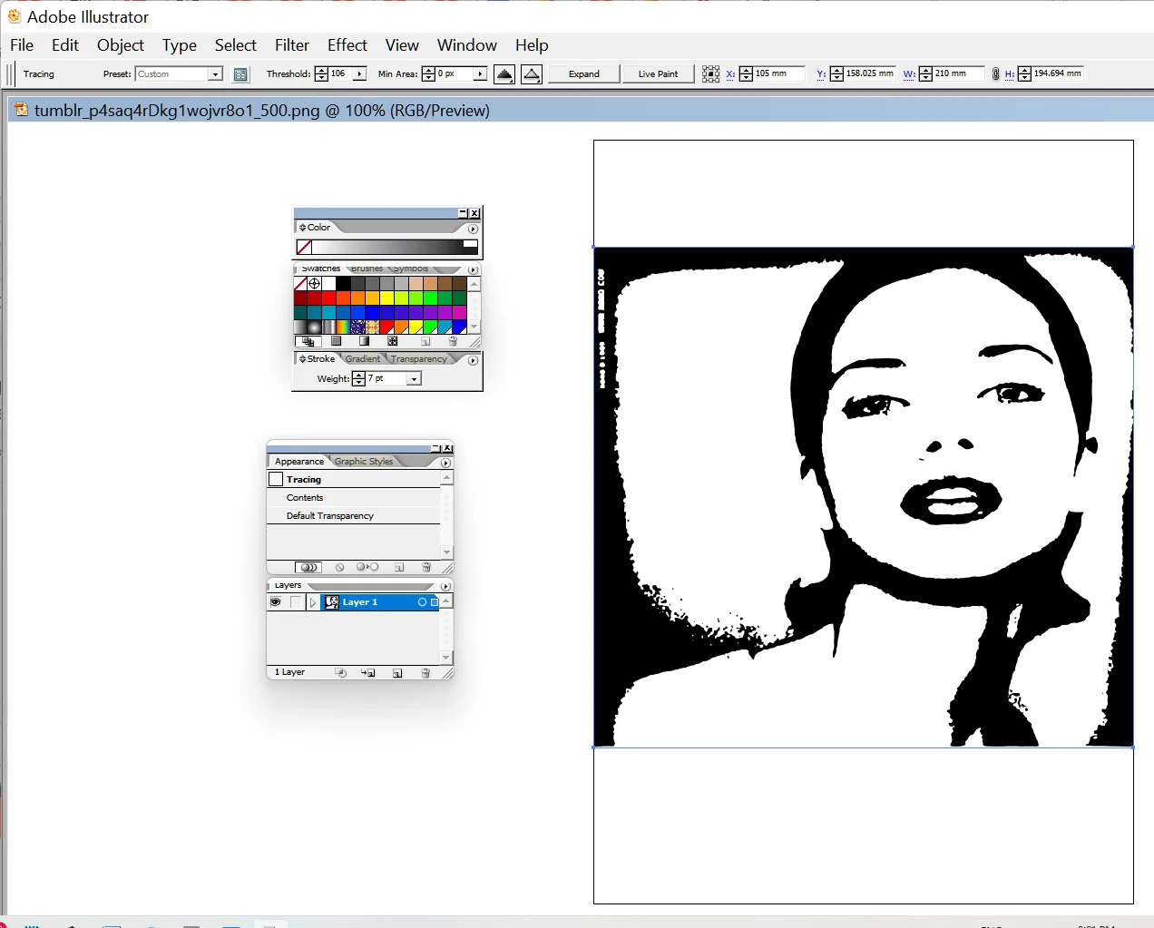 adobe illustrator cs2