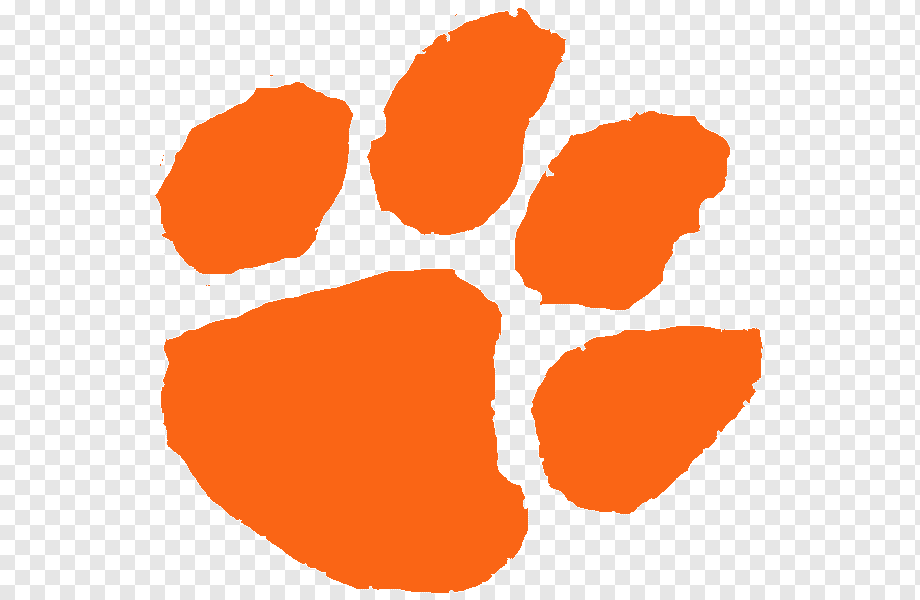 Clemson University