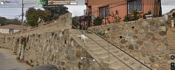 MapCrunch