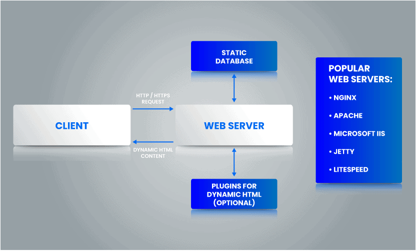 web server vs application server